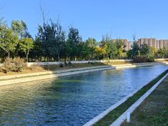 -坝河休闲公园