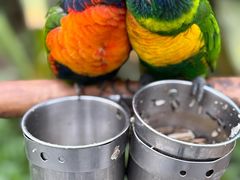 -南宫五洲植物乐园