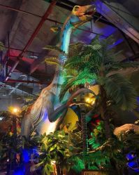 -恐龙探索乐园(磁器口店)