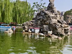 -团结湖公园