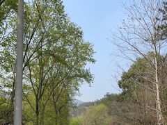 -木兰云雾山