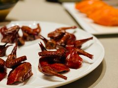 脆皮妙龄鸽-新荣记(新源南路店)