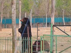 -秦皇岛野生动物园