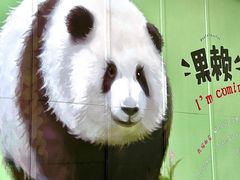 -春熙路步行街