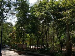 -火炉山森林公园