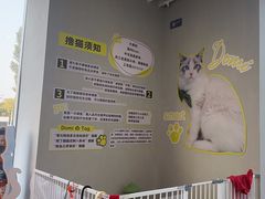 -上海浦东smart汽车全功能店(金桥店)