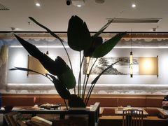 -江边城外烤全鱼(嘉定万达广场店)
