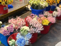 -循礼门鲜花花市(武汉循礼门店)