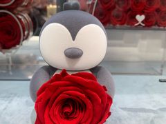 -ROSEONLY诺誓(广州K11店)