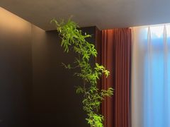 -蘇锦宴·淮扬菜烤鸭·小院(三元桥霄云路店)