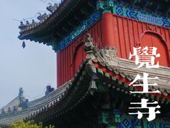 -大钟寺古钟博物馆