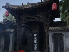 -大槐树寻根祭祖园