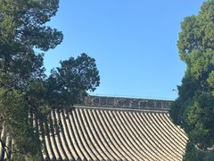 -洛阳白马寺