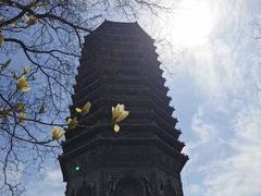 -玲珑塔公园