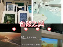 -中国湿地博物馆