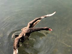 -颐和园