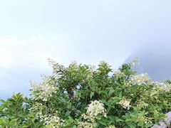 -九宫山风景区