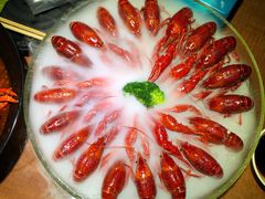 -红盔甲·小龙虾(天钥桥店)
