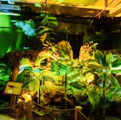 点击看大图 -恐龙探索乐园(磁器口店)