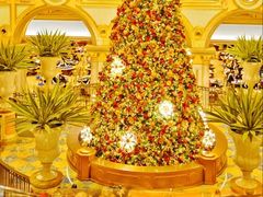 -新苗超市(花城店)