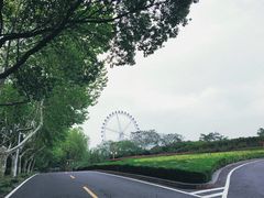 -宜兴龙背山森林公园