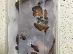 -陈光记烧腊(长寿路店)