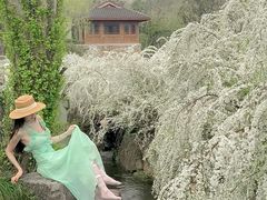 -中国茶叶博物馆(双峰馆区)