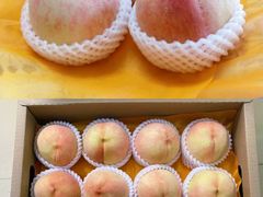 -老袁家蜜桃农场·阳山水蜜桃