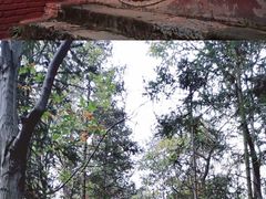 -窦圌山风景区