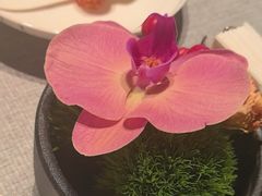 -柿合缘新京菜(静安嘉里中心店)