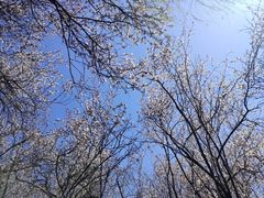 -蜀冈西峰生态公园