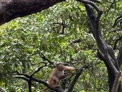 -黔灵山公园-南门售票处