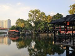 -侨美·唐荔园·40年地道粤菜