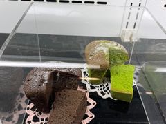 -中村藤吉(本店)