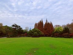 -中山公园