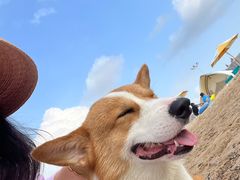 -那香海钻石沙滩浴场