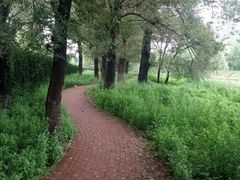 -黑龙江省森林植物园