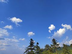-大围山国家森林公园
