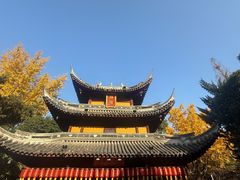 -龙华素斋(龙华路店)