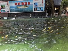 -天怡·鱼工厂(梅溪湖店)
