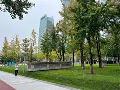 -重庆市江北嘴中央商务区中央公园