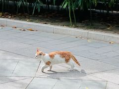-北京颐和宾馆