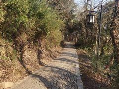 -苏州上方山国家森林公园