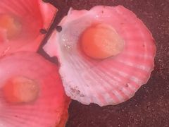 -江杨农产品批发市场