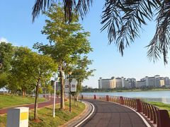 -九龙湖公园