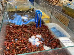 -半岛听涛蒸汽海鲜自助(K11店)