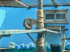 -青藏高原野生动物园