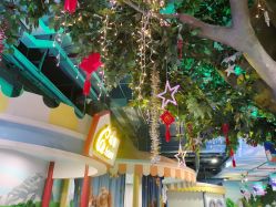 -酷嗒动物文化乐园(cutezoo西溪乐天城店)