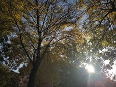 -山东大学(兴隆山校区)