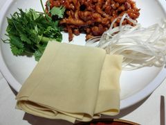 -大鸭梨烤鸭店(花园村店)